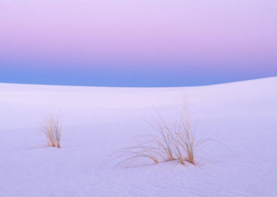أروع صور الصحرى البيضاء White Desert Pictures-عالم الصور
